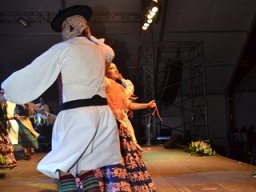 Festival de Folkore en Mula